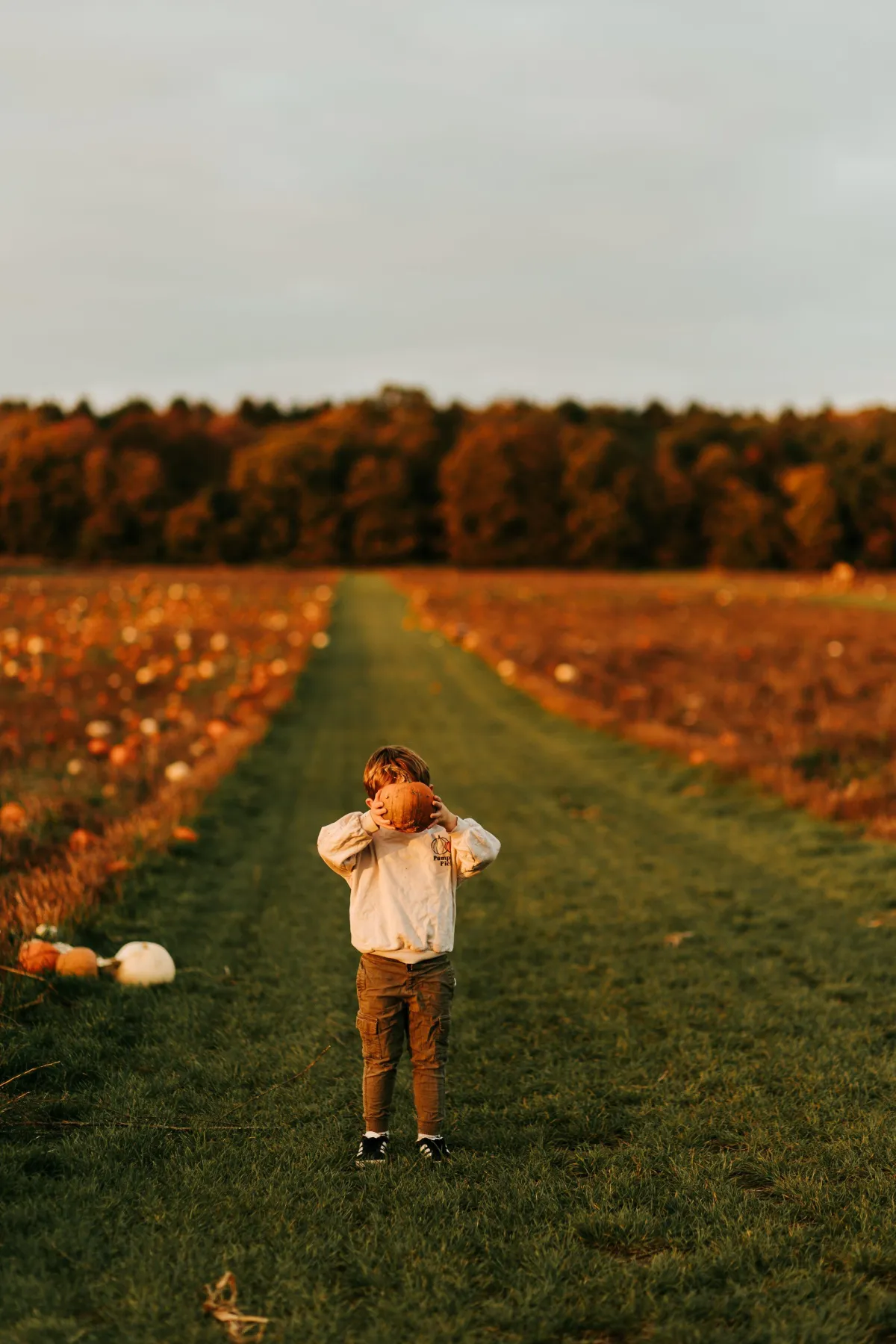 Little boy at Rougham Pumpkin Patch