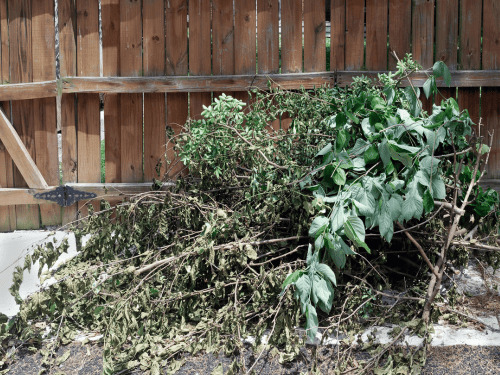 Full Property Cleanouts in Potter County