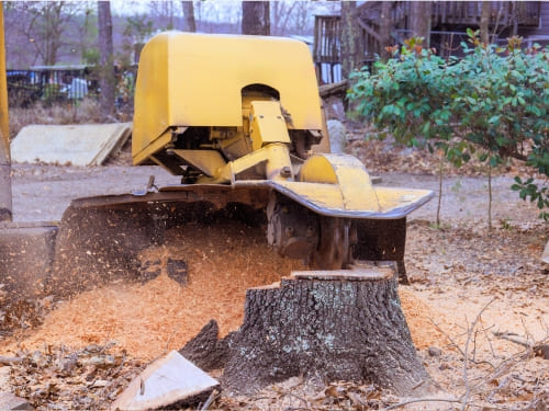 Sweden Valley Yard Debris Removal
