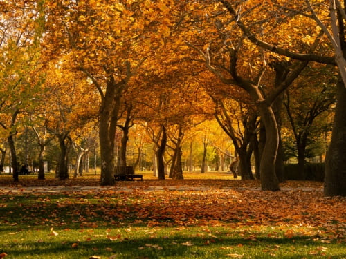Sweden Valley Seasonal Cleanup Services
