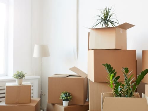  Junk Removal