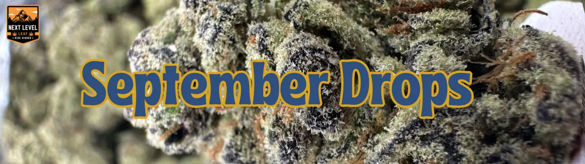THCa Flower September 2025 Drops