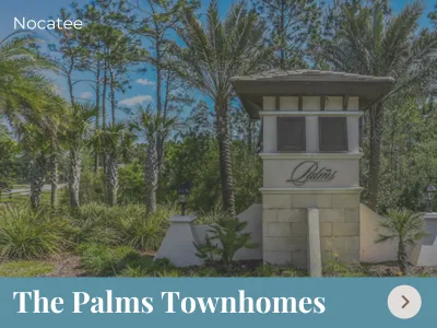 The Palms Nocatee