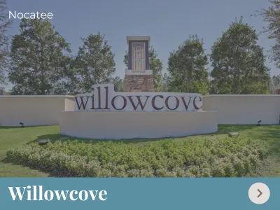 Willowcove Nocatee