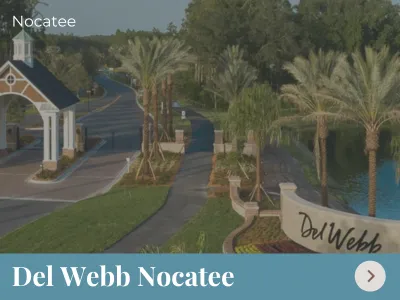 De Webb Nocatee