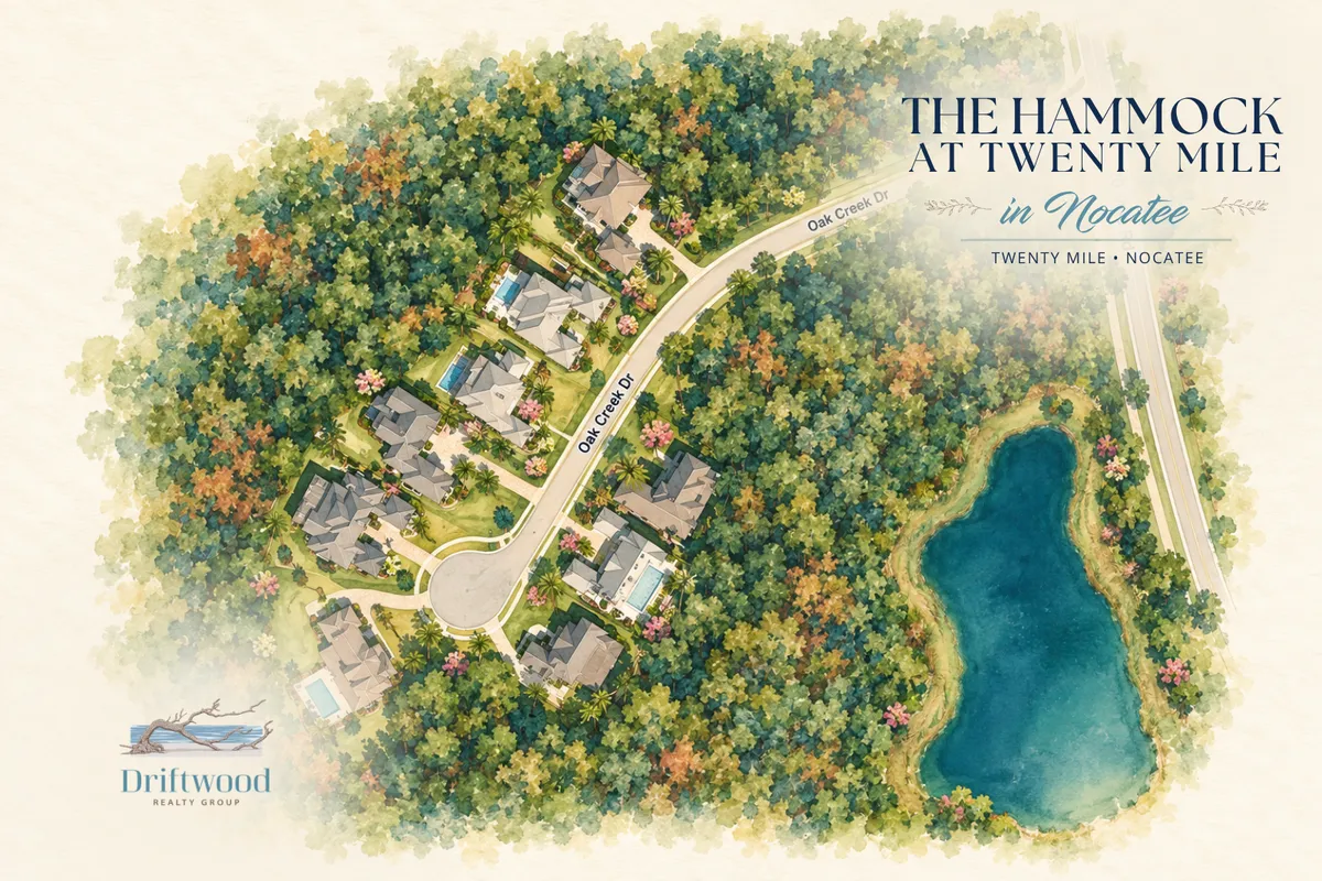 Illustrated map of The Hammock at Twenty Mile in Nocatee showing nine homes along Oak Creek Drive and surrounding preserve