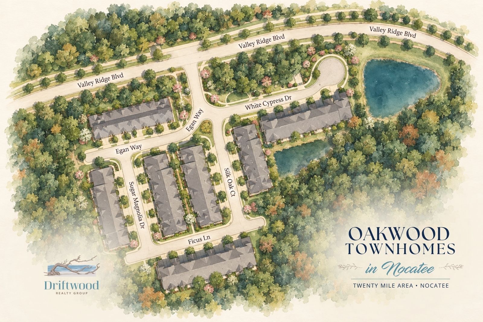 Illustrated map of The Hammock at Twenty Mile in Nocatee showing nine homes along Oak Creek Drive and surrounding preserve
