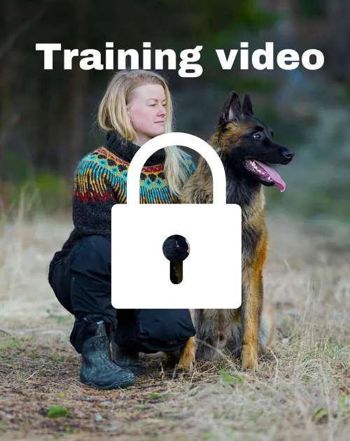 Free training video 