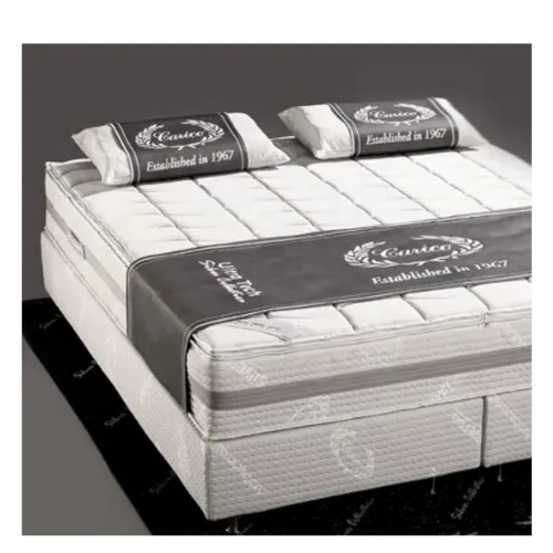 Carico Sleep System grounding orthopedic technology