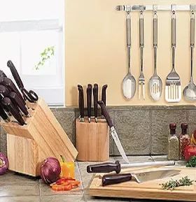 Carico Cutlery high-carbon surgical steel knives and block