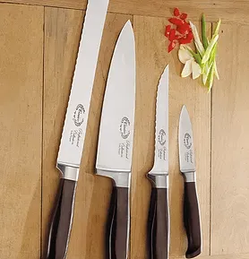 CARICO Surgical Steel Professional Knife Cutout
