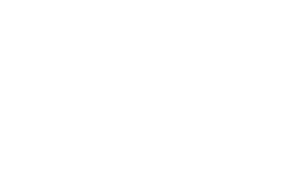 Lidera tu Vida