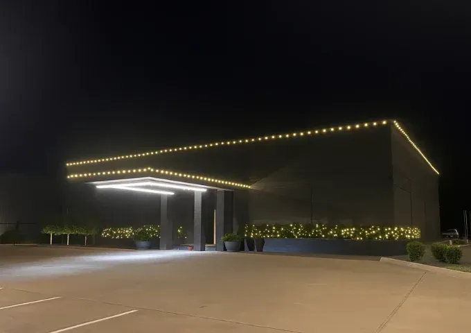 Professional roofline and landscape holiday lighting