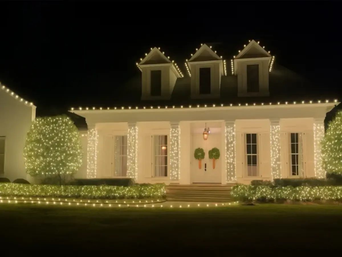 Tree and landscape Christmas lighting installation