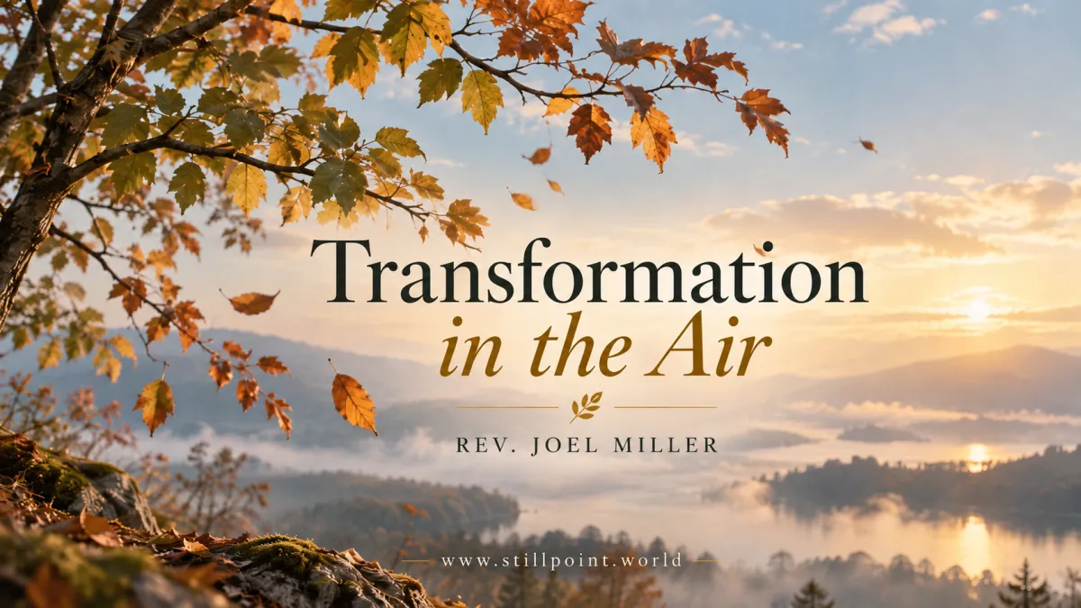 Transformation In The Air