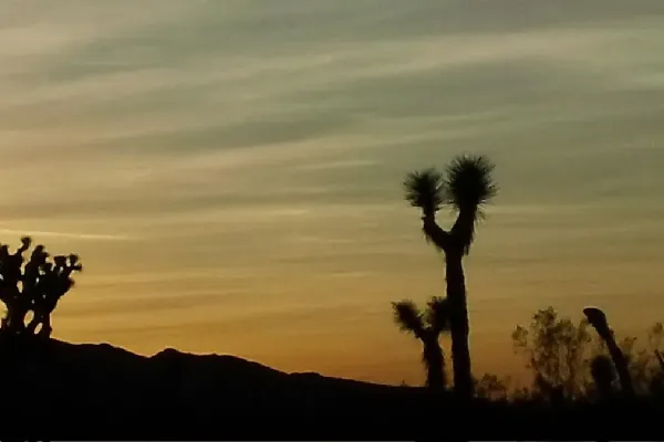 Manic Move to the Mojave More Magic and Miracles Part 1