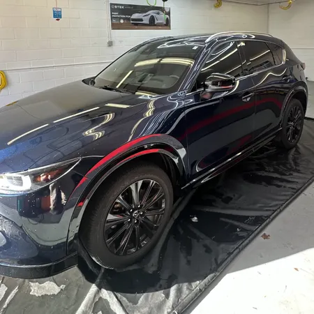 window tint