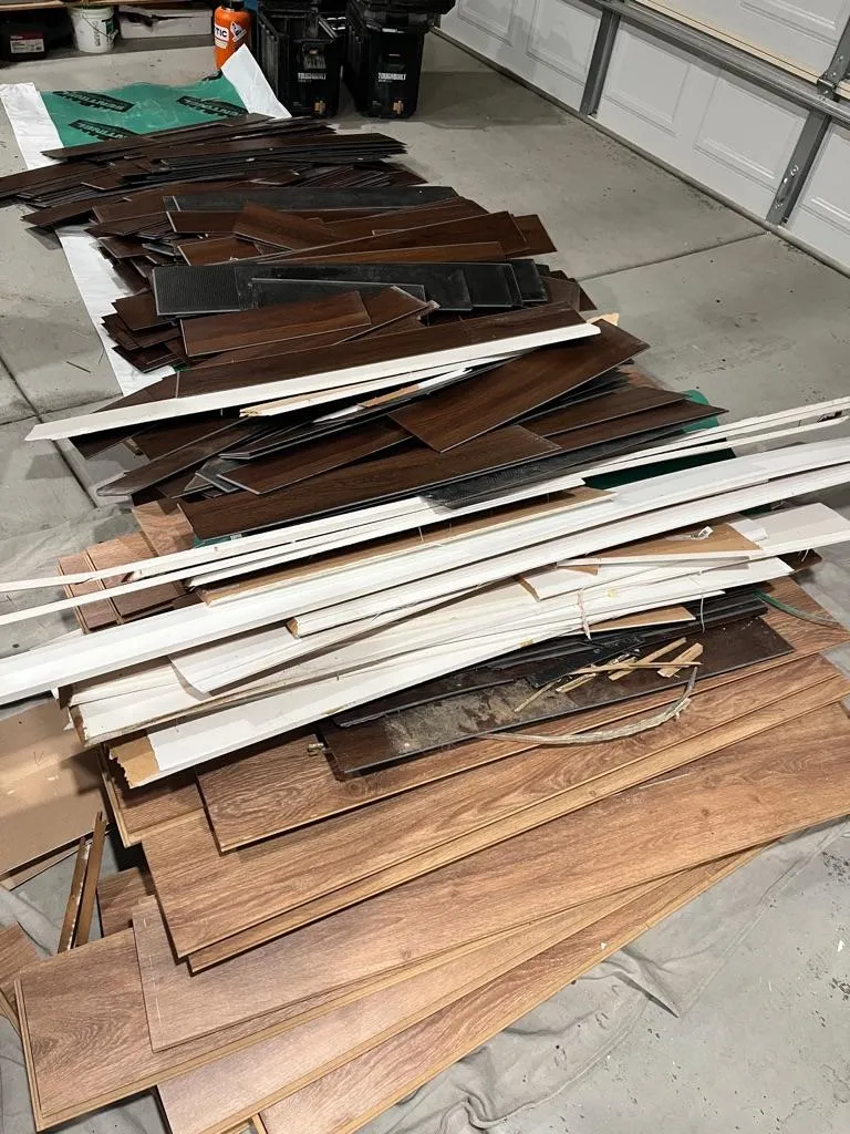 green leaves under blue sky during daytime