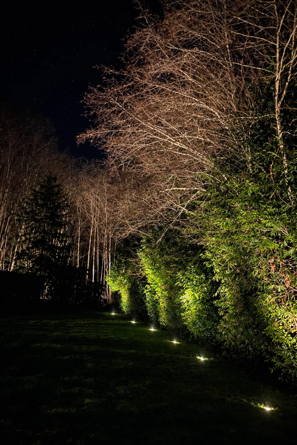 String Lighting Seattle