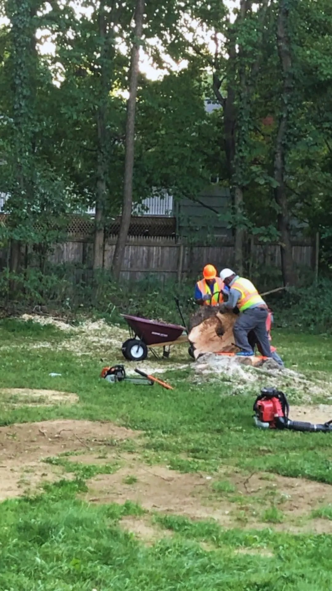 Stump Removal, Tree Removal
