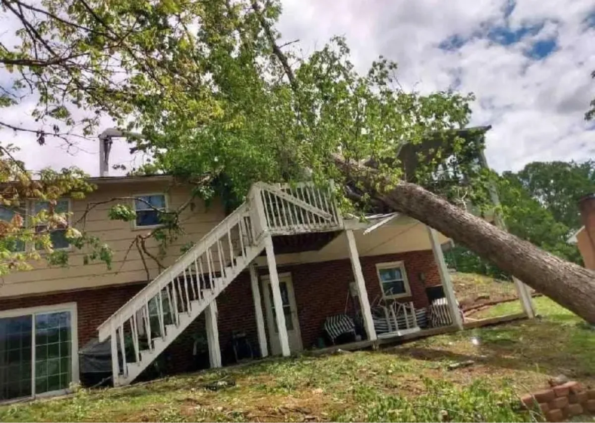 Fallen tree on house causing roof and porch damage, representing emergency tree removal services