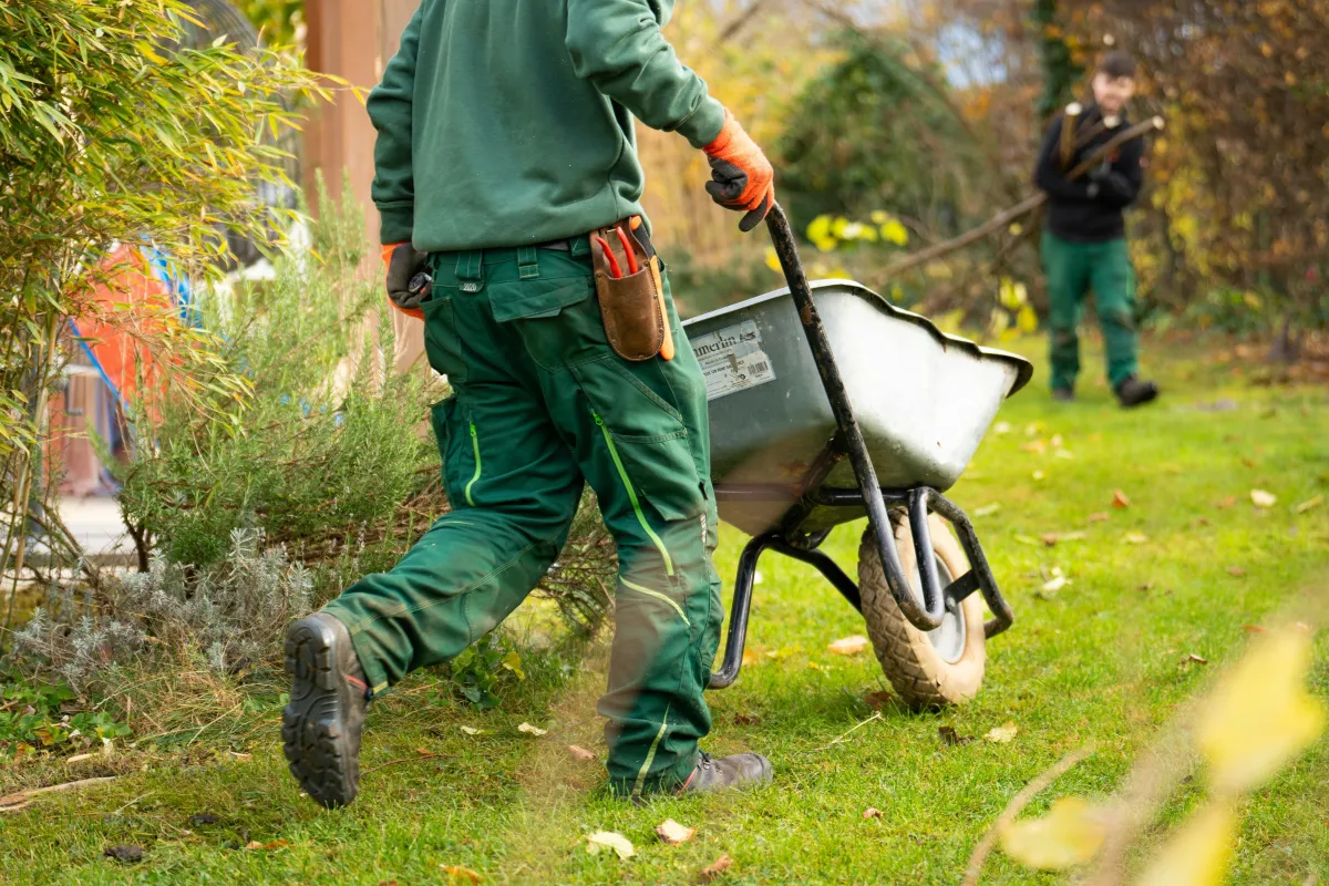 Worker spreading mulch with wheelbarrow, delivering mulching and yard care services in Roanoke Virginia