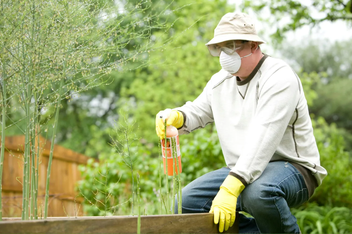 Worker applying fertilizer to trees, providing tree fertilizing services in Roanoke Virginia