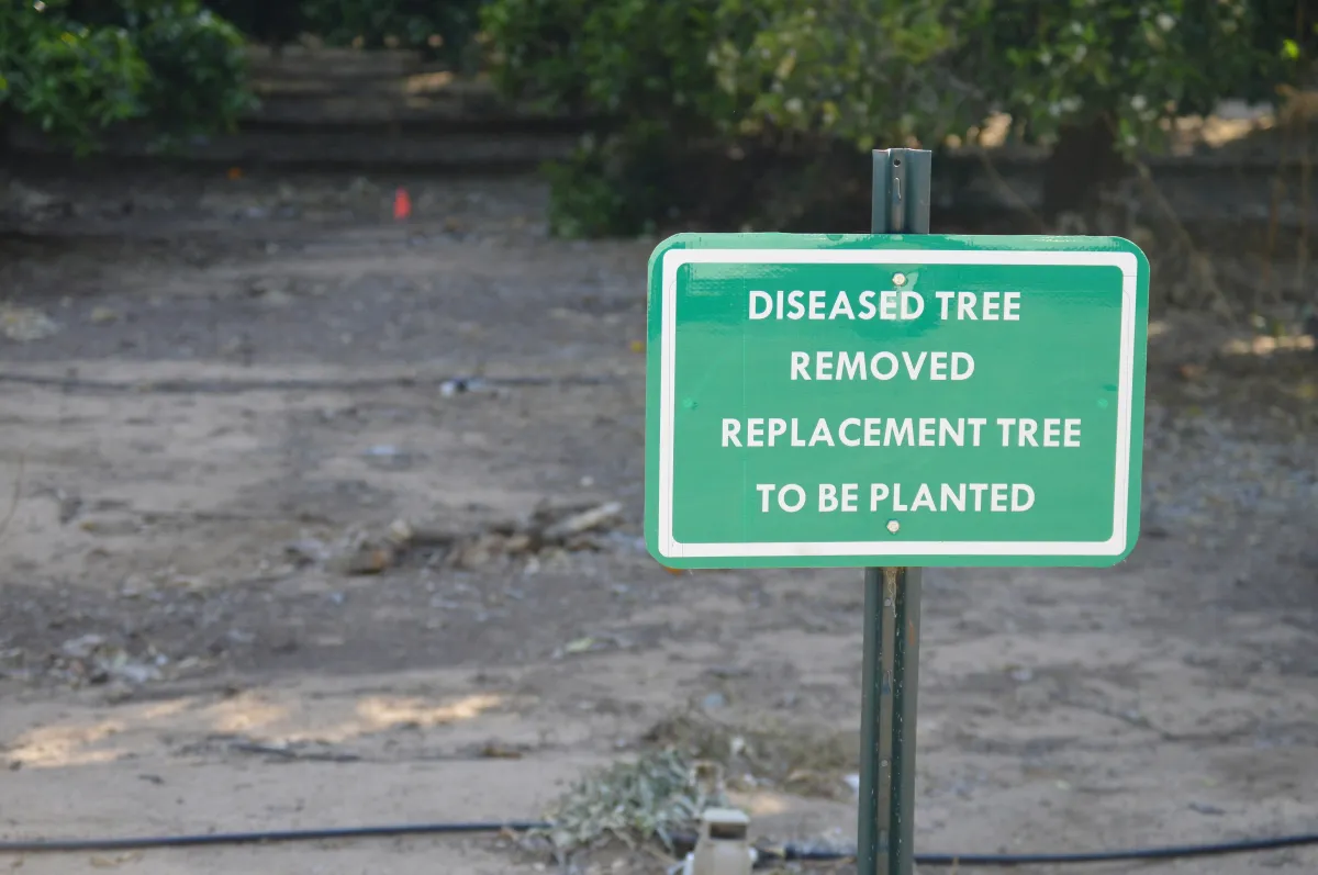 Sign marking diseased tree removal site, representing insect and disease management services in Roanoke Virginia