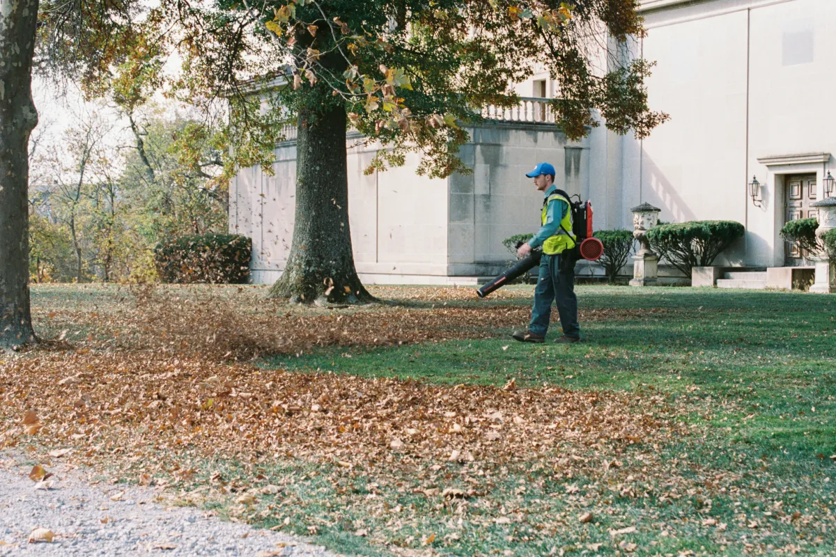 Workers restoring lawn and landscape, providing total yard rehab services in Roanoke Virginia