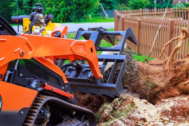 dangerous tree removal 