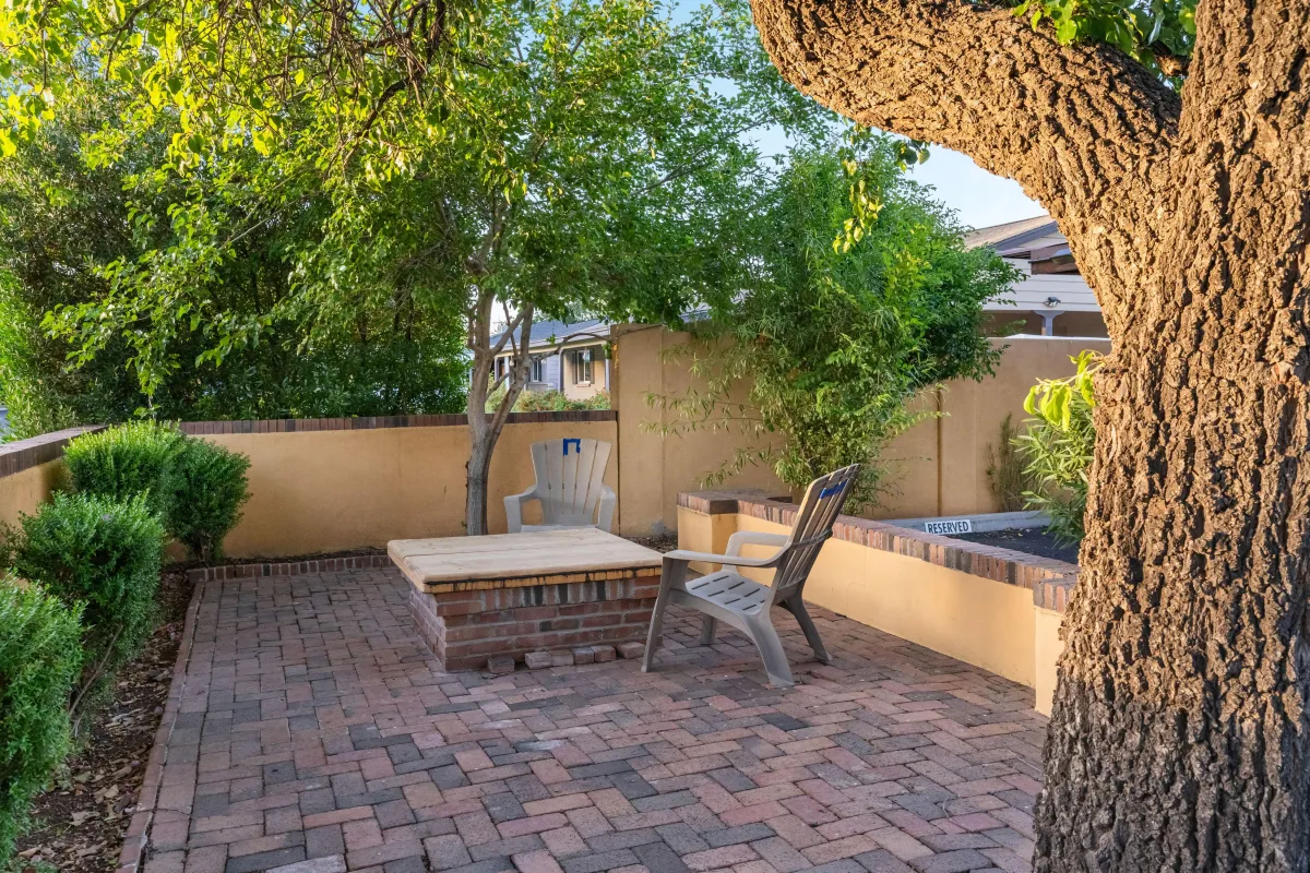 The Rosemary Tree - A space for joy