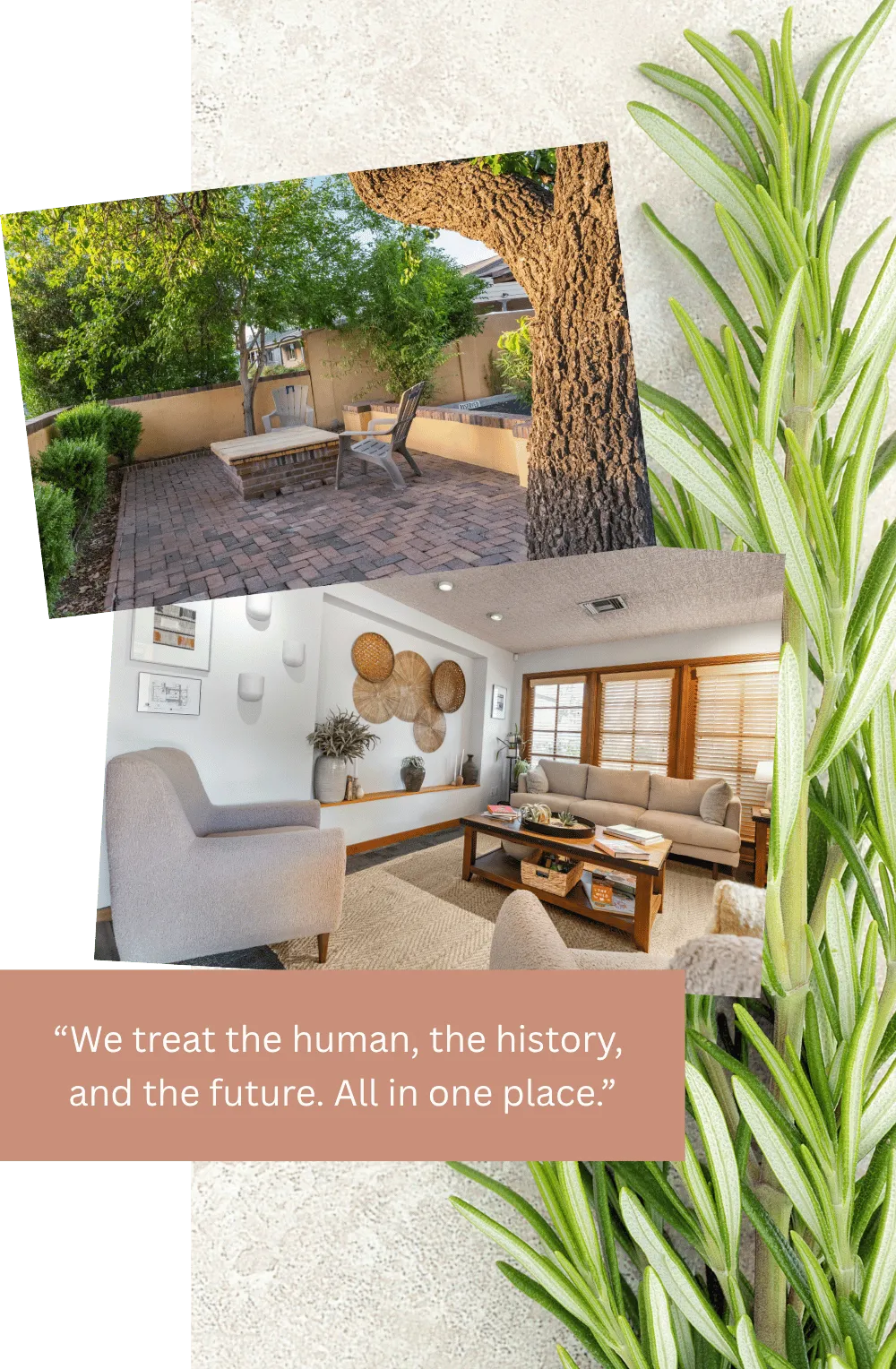 “We treat the human, the history,  and the future. All in one place.”