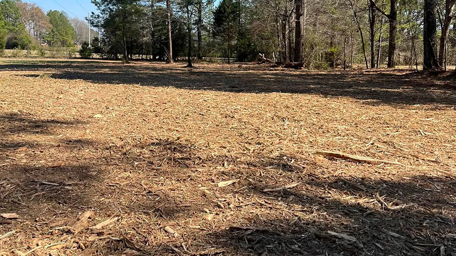 Land clearing and forestry mulching