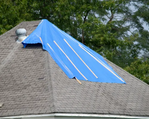 Roof Repair & Leak Detection 