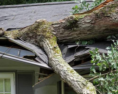  Roof Installation & Replacement