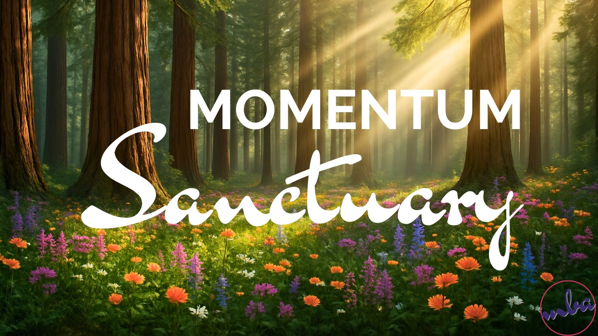 Momentum Sanctuary product mockup