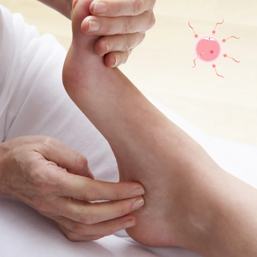 Reflexology for Pregnancy and Fertility