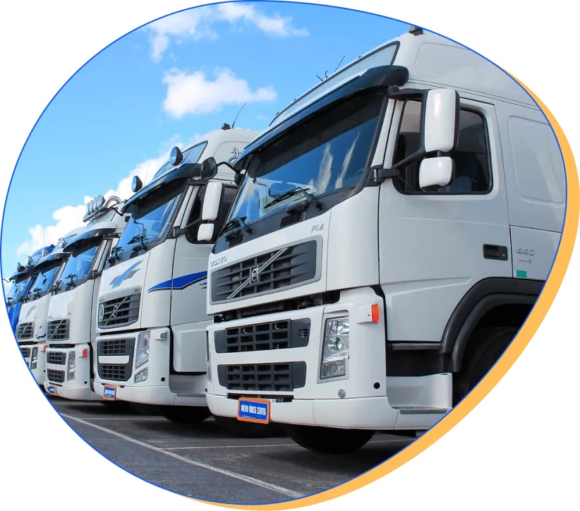 Search marketing agency