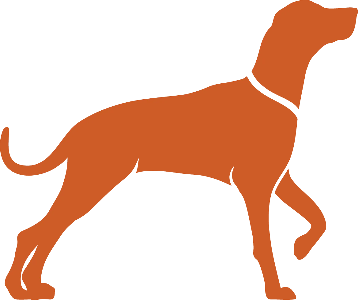 One Leg Up Canine Branding Dog