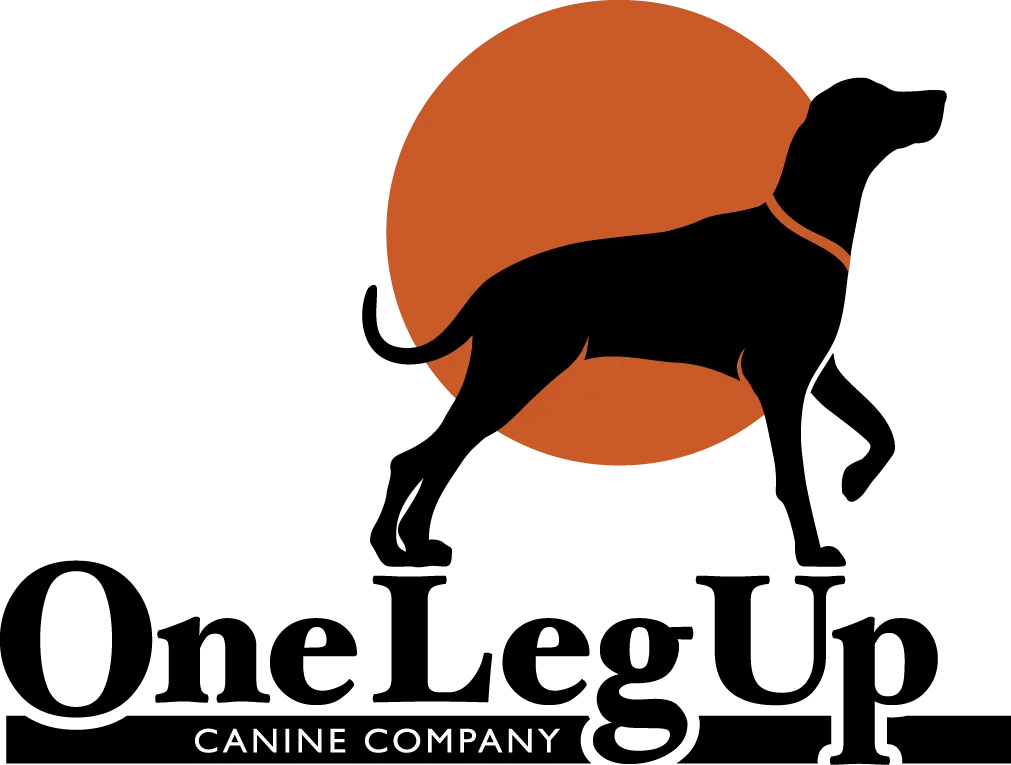 Register For Puppy Training Socialization Combo Classes 