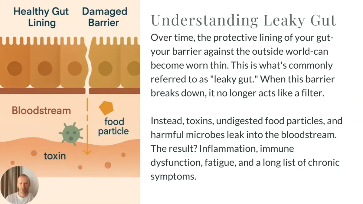 The Gut & Microbiome