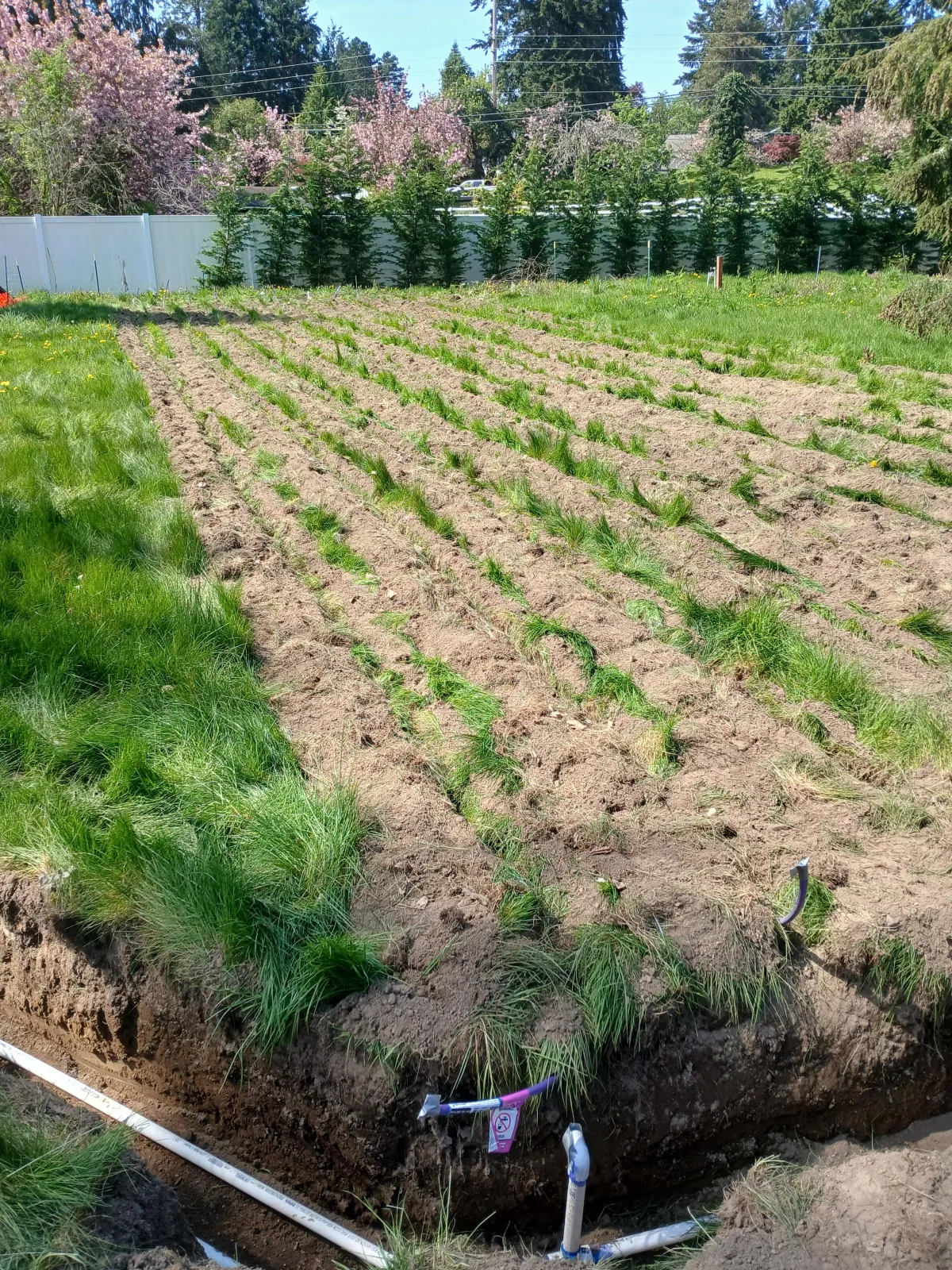 subsurface drip drainfield