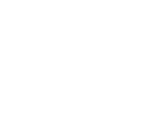 101+park