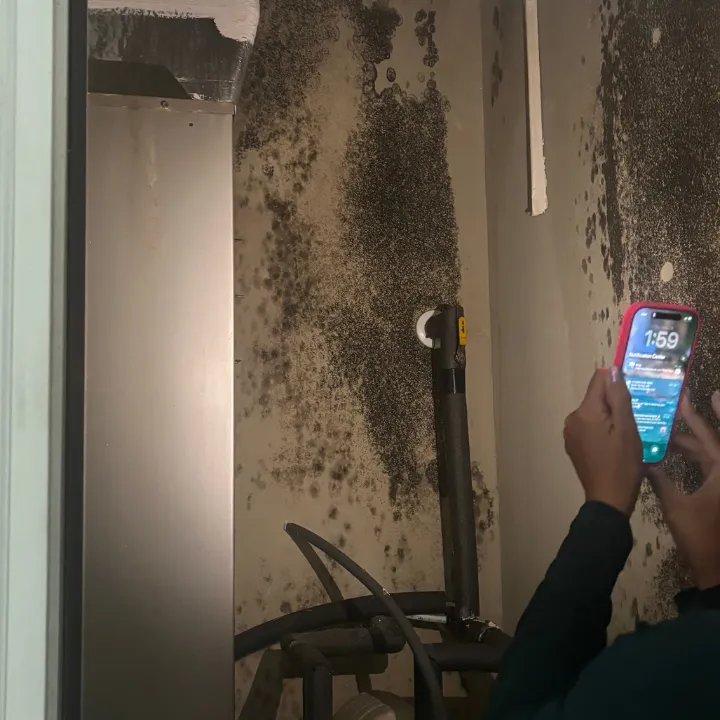 Extensive black mold growth on drywall inside a Phoenix water heater closet
