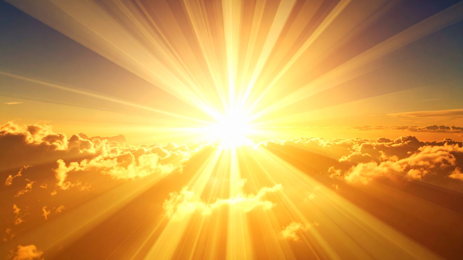 A confident woman in her early 40s stands in a sunlit modern office, smiling warmly with arms gently crossed. The background features large windows, lush greenery outside, and a sleek desk with a journal and coffee mug, evoking a sense of calm, professionalism, and approachability.
