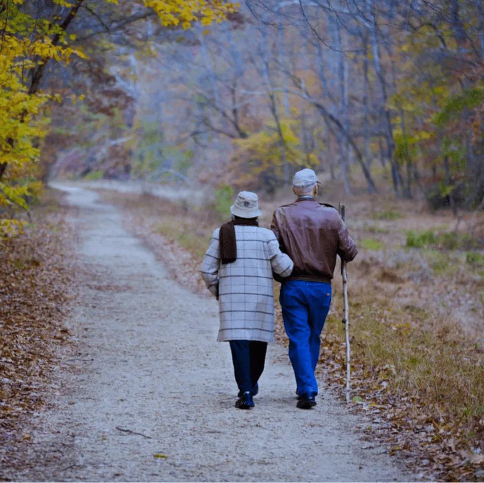 Our Unwavering Dedication to You