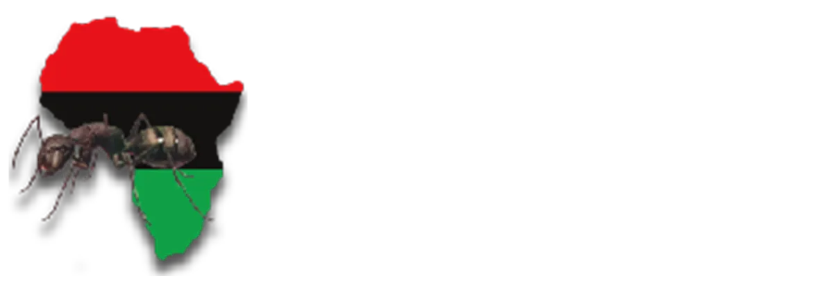 Freedom Home Academy Int Logo