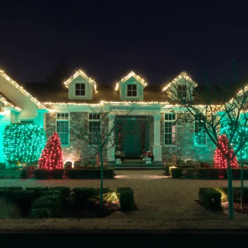 A glowing lynx lantern rests on a log.