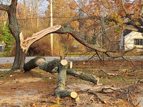 Fayetteville Landscaping