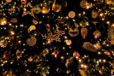 Christmas Lights in Wayne